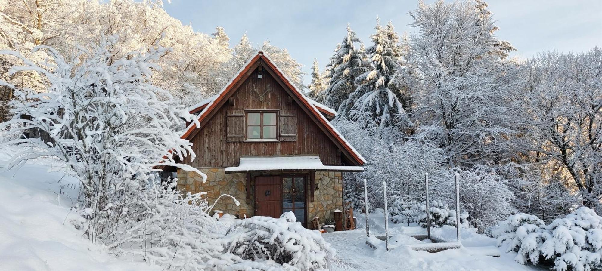 Jagdhaus In Der Rhoen In Voelliger Alleinlage เกอร์สเฟลด์ ภายนอก รูปภาพ