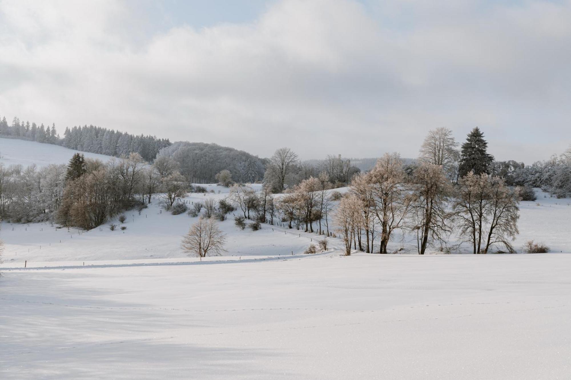 Jagdhaus In Der Rhoen In Voelliger Alleinlage เกอร์สเฟลด์ ภายนอก รูปภาพ